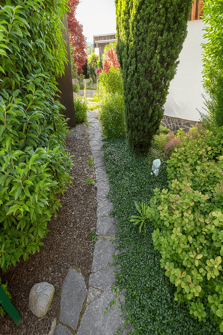 Prodej domu 197 m², pozemek 391 m², Bammental, Bádensko-Württembersko Prodej domu 197 m², pozemek 391 m², Bammental, Bádensko-Württembersko