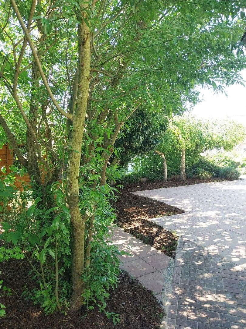 Prodej bytu 3+1 88 m², Volkach, Bavorsko Prodej bytu 3+1 88 m², Volkach, Bavorsko