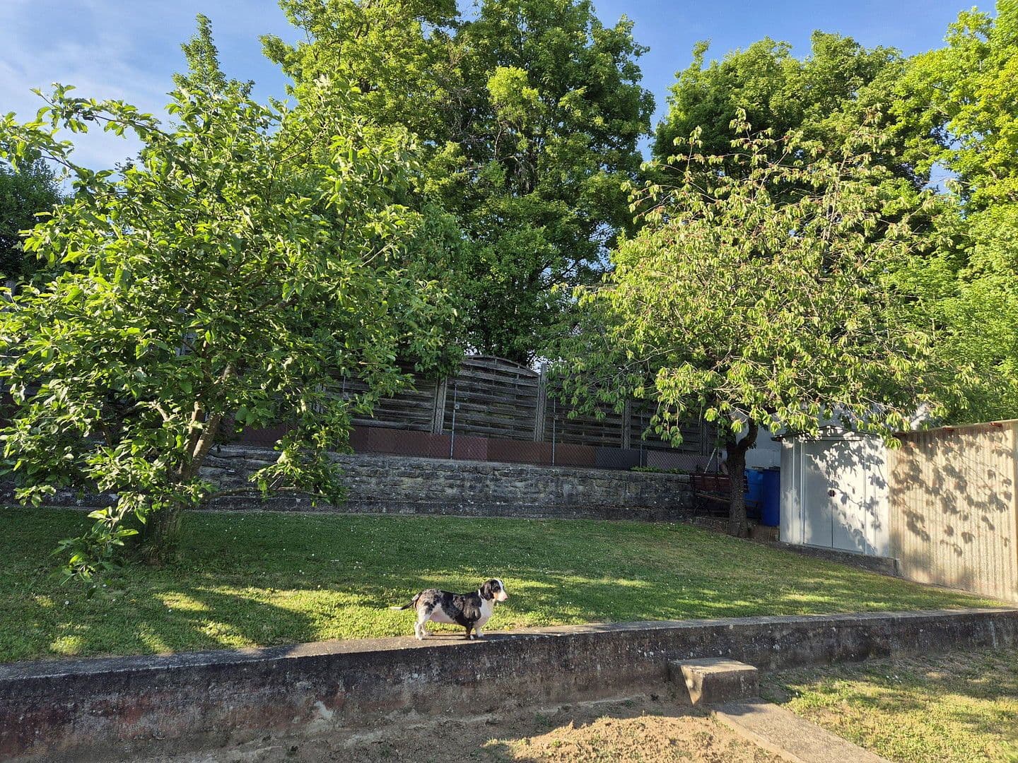 Prodej domu 183 m², pozemek 836 m², Adelsheim, Bádensko-Württembersko Prodej domu 183 m², pozemek 836 m², Adelsheim, Bádensko-Württembersko