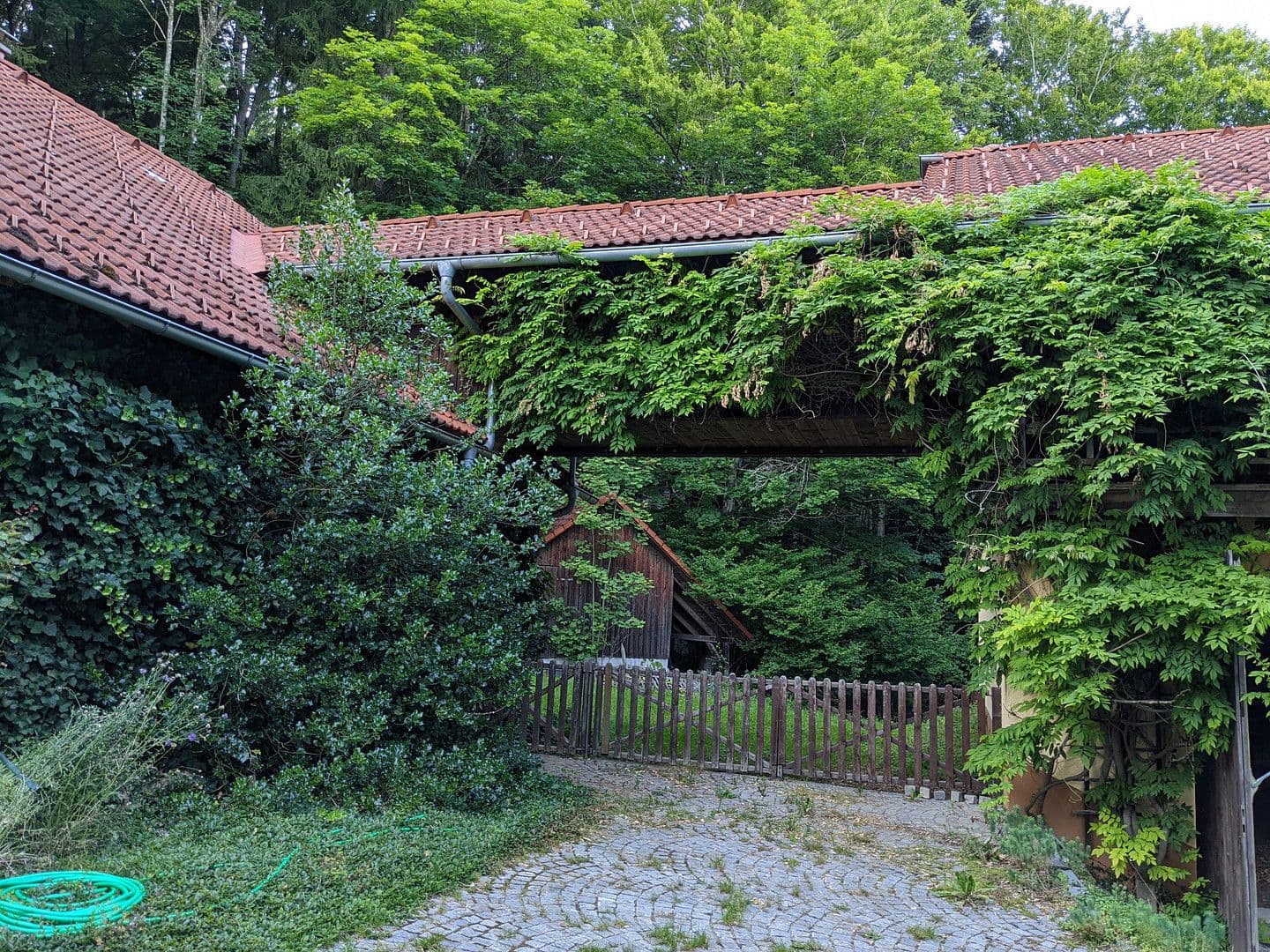 Prodej domu 255 m², pozemek 12.000 m², Klaffer am Hochficht, Horní Rakousko Prodej domu 255 m², pozemek 12.000 m², Klaffer am Hochficht, Horní Rakousko