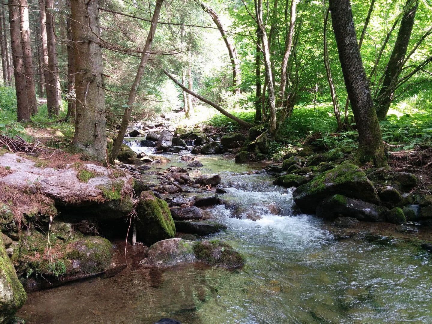 Prodej domu 255 m², pozemek 12.000 m², Klaffer am Hochficht, Horní Rakousko Prodej domu 255 m², pozemek 12.000 m², Klaffer am Hochficht, Horní Rakousko