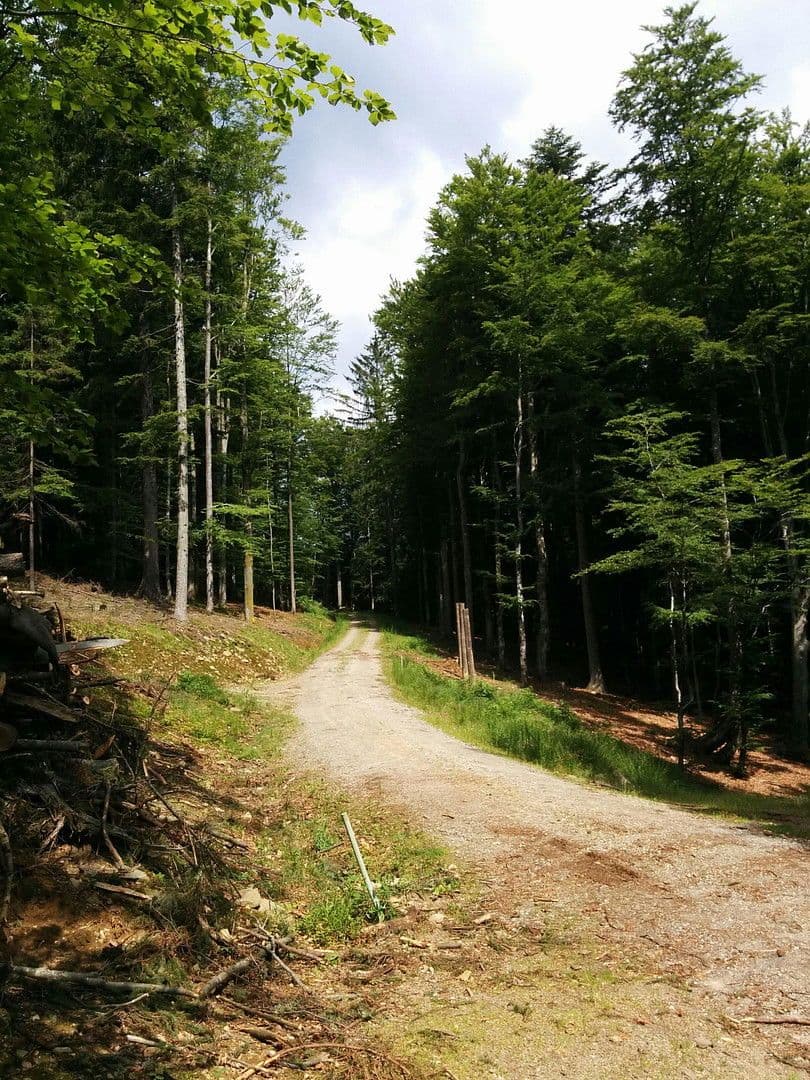 Prodej domu 255 m², pozemek 12.000 m², Klaffer am Hochficht, Horní Rakousko Prodej domu 255 m², pozemek 12.000 m², Klaffer am Hochficht, Horní Rakousko