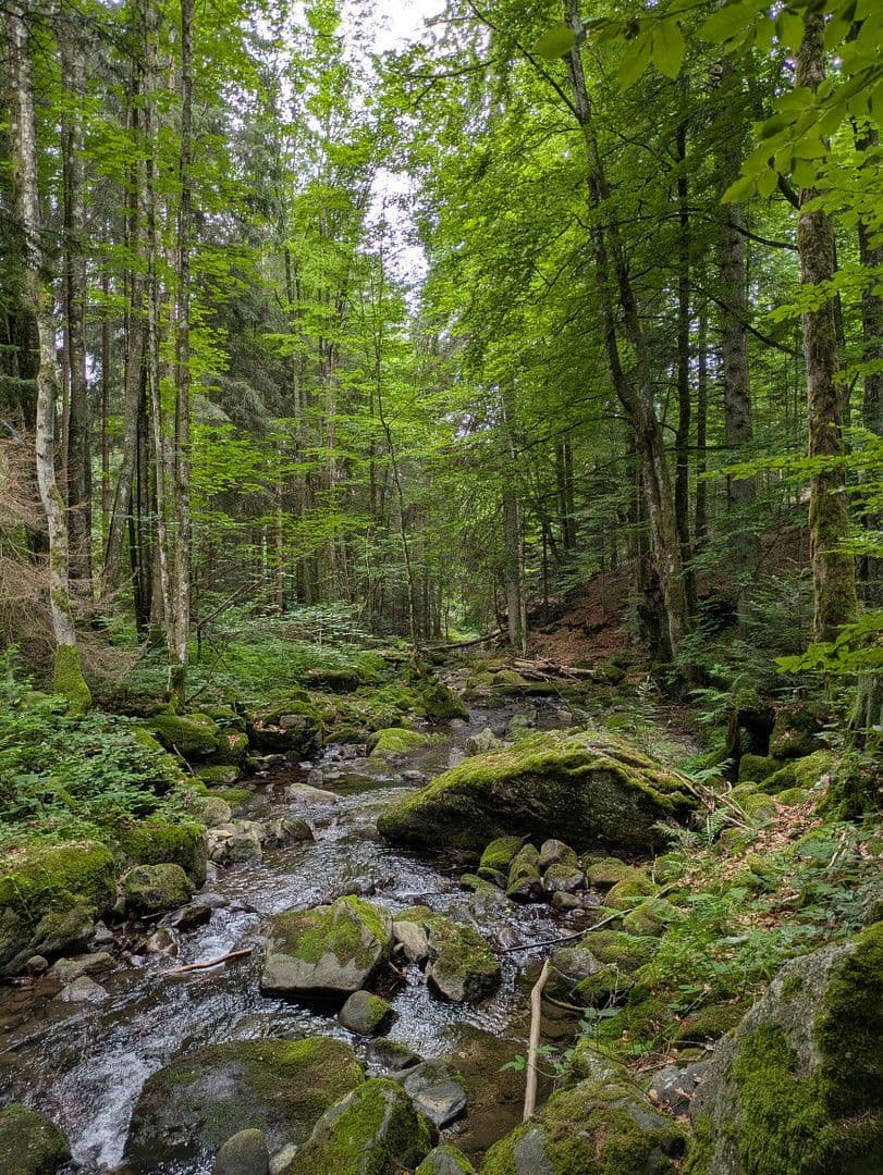 Prodej domu 255 m², pozemek 12.000 m², Klaffer am Hochficht, Horní Rakousko Prodej domu 255 m², pozemek 12.000 m², Klaffer am Hochficht, Horní Rakousko