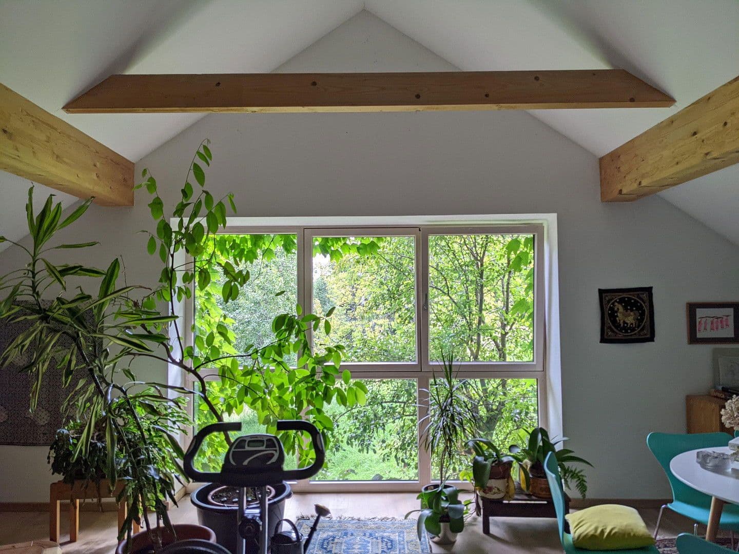 Prodej domu 255 m², pozemek 12.000 m², Klaffer am Hochficht, Horní Rakousko Prodej domu 255 m², pozemek 12.000 m², Klaffer am Hochficht, Horní Rakousko