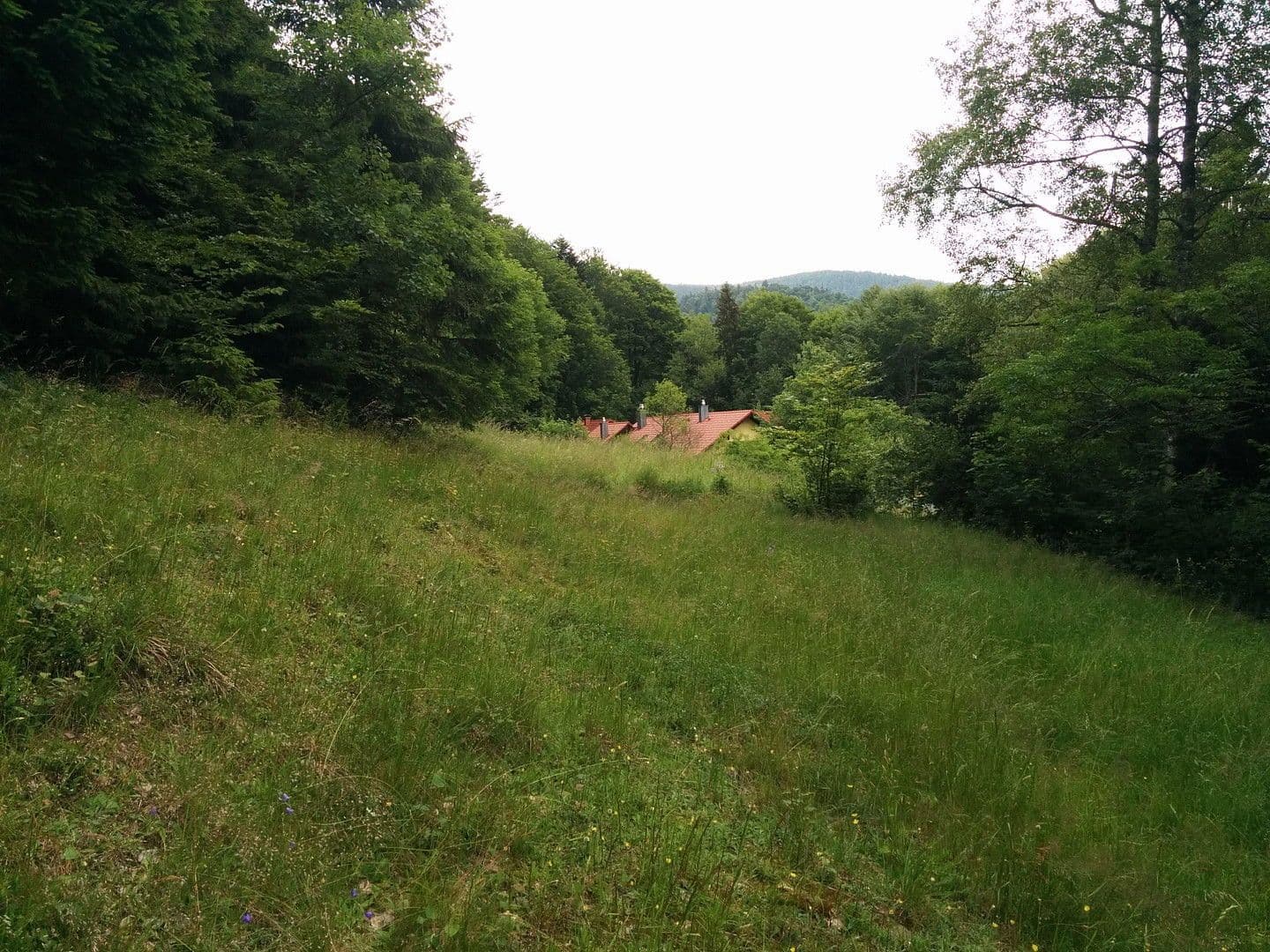 Prodej domu 255 m², pozemek 12.000 m², Klaffer am Hochficht, Horní Rakousko Prodej domu 255 m², pozemek 12.000 m², Klaffer am Hochficht, Horní Rakousko