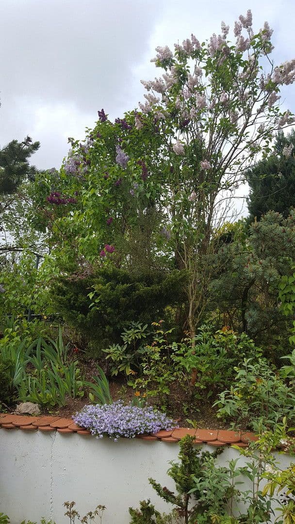 Prodej domu 132 m², pozemek 256 m², Dasing, Bavorsko Prodej domu 132 m², pozemek 256 m², Dasing, Bavorsko