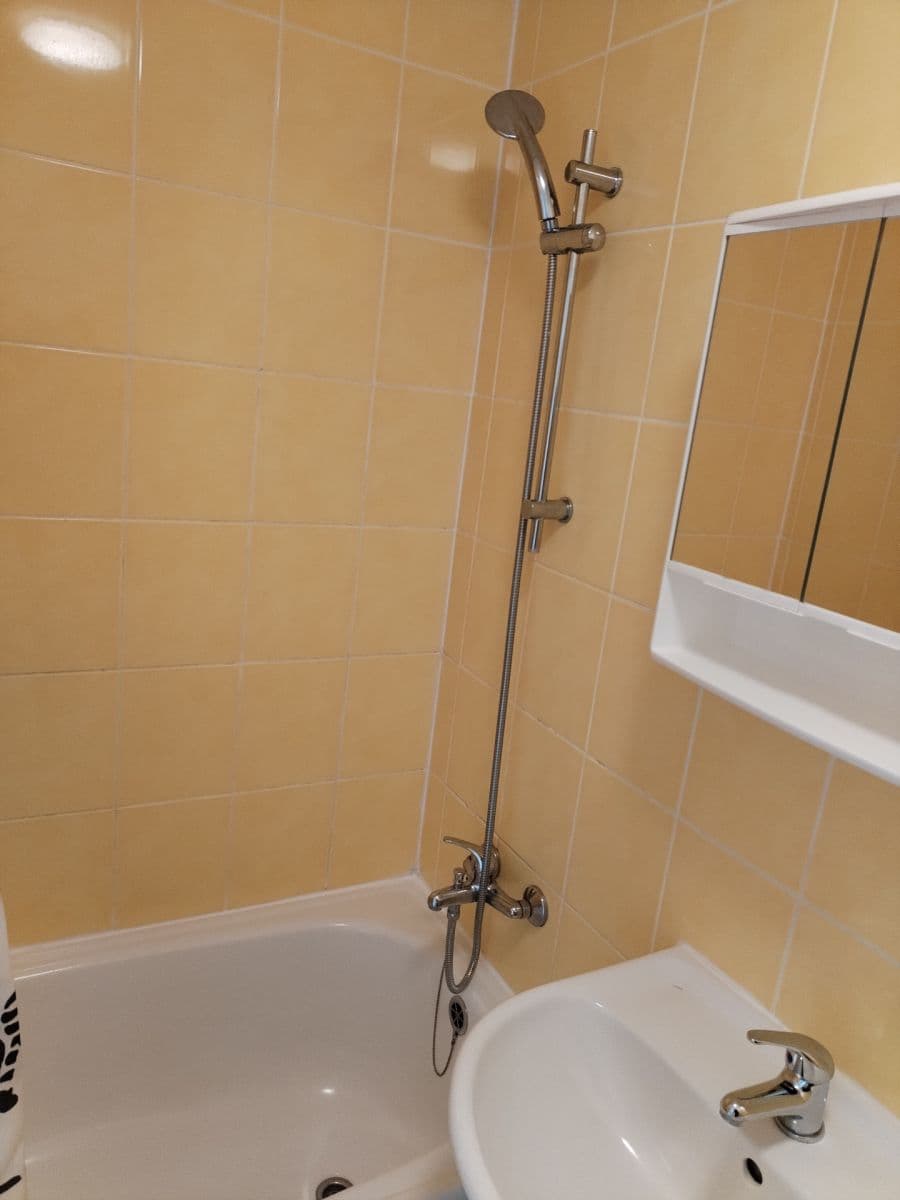 Pronájem bytu 1+1 35 m², Hornická, Jirkov, Ústecký kraj Pronájem bytu 1+1 35 m², Hornická, Jirkov, Ústecký kraj