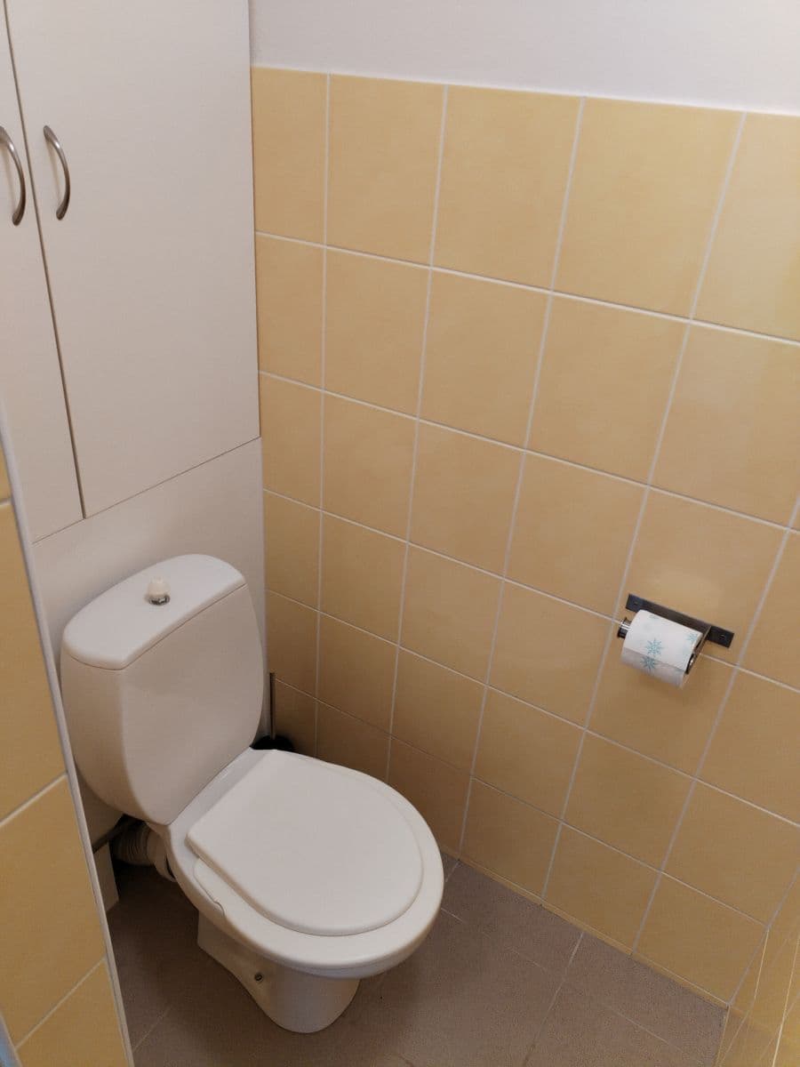 Pronájem bytu 1+1 35 m², Hornická, Jirkov, Ústecký kraj Pronájem bytu 1+1 35 m², Hornická, Jirkov, Ústecký kraj