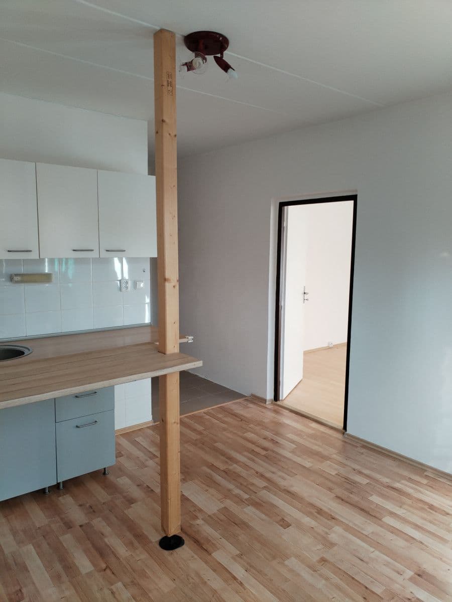 Pronájem bytu 1+1 35 m², Hornická, Jirkov, Ústecký kraj Pronájem bytu 1+1 35 m², Hornická, Jirkov, Ústecký kraj