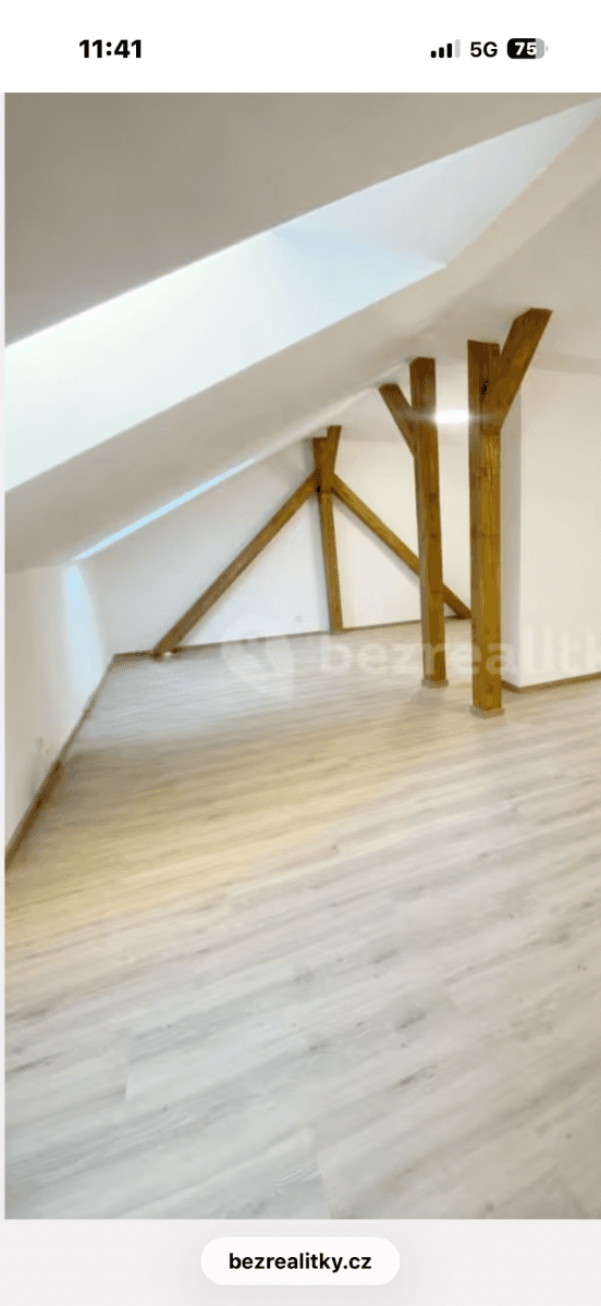 Pronájem bytu 1+kk 50 m², Nováčkova, Brno, Jihomoravský kraj Pronájem bytu 1+kk 50 m², Nováčkova, Brno, Jihomoravský kraj