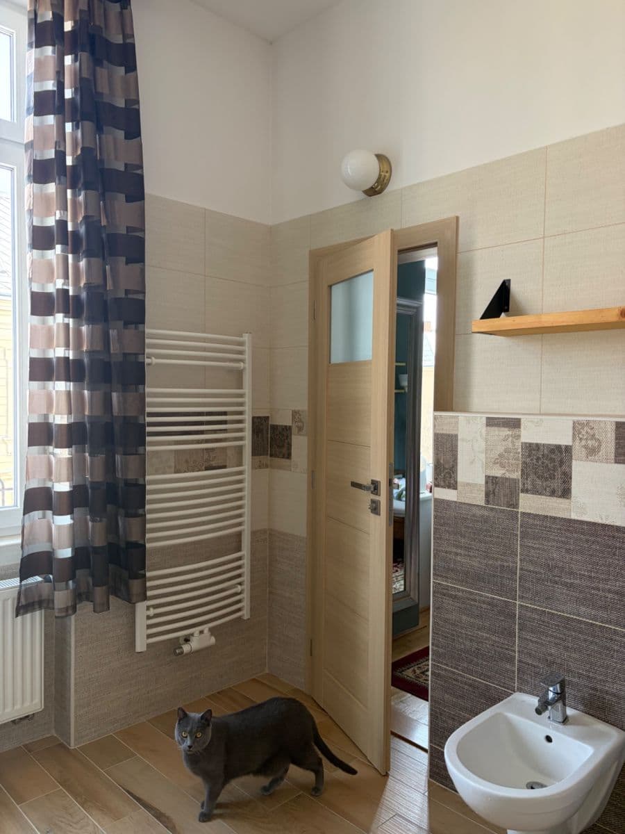 Prodej bytu 2+1 83 m², Mánesova, Opava, Moravskoslezský kraj Prodej bytu 2+1 83 m², Mánesova, Opava, Moravskoslezský kraj