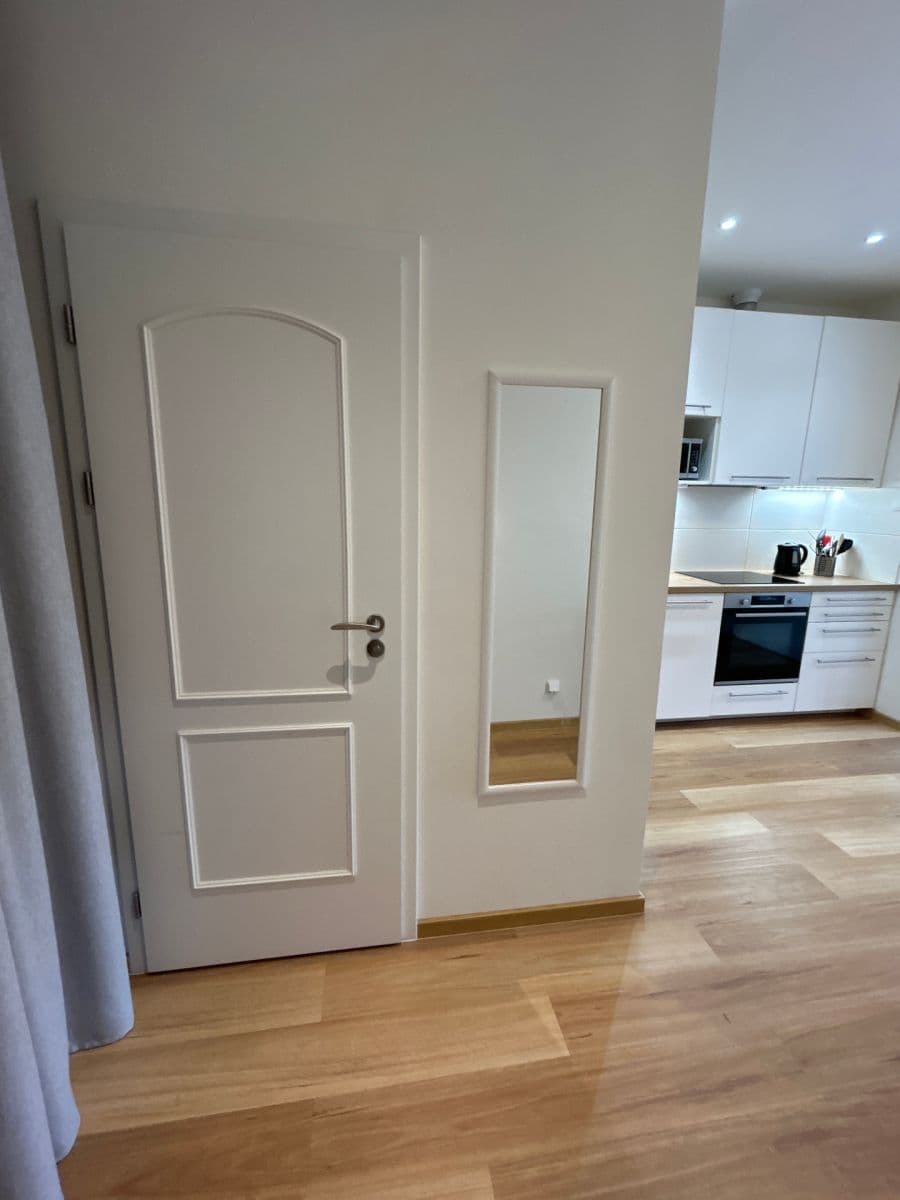 Pronájem bytu 1+kk 40 m², Špotzova, Praha, Praha Pronájem bytu 1+kk 40 m², Špotzova, Praha, Praha