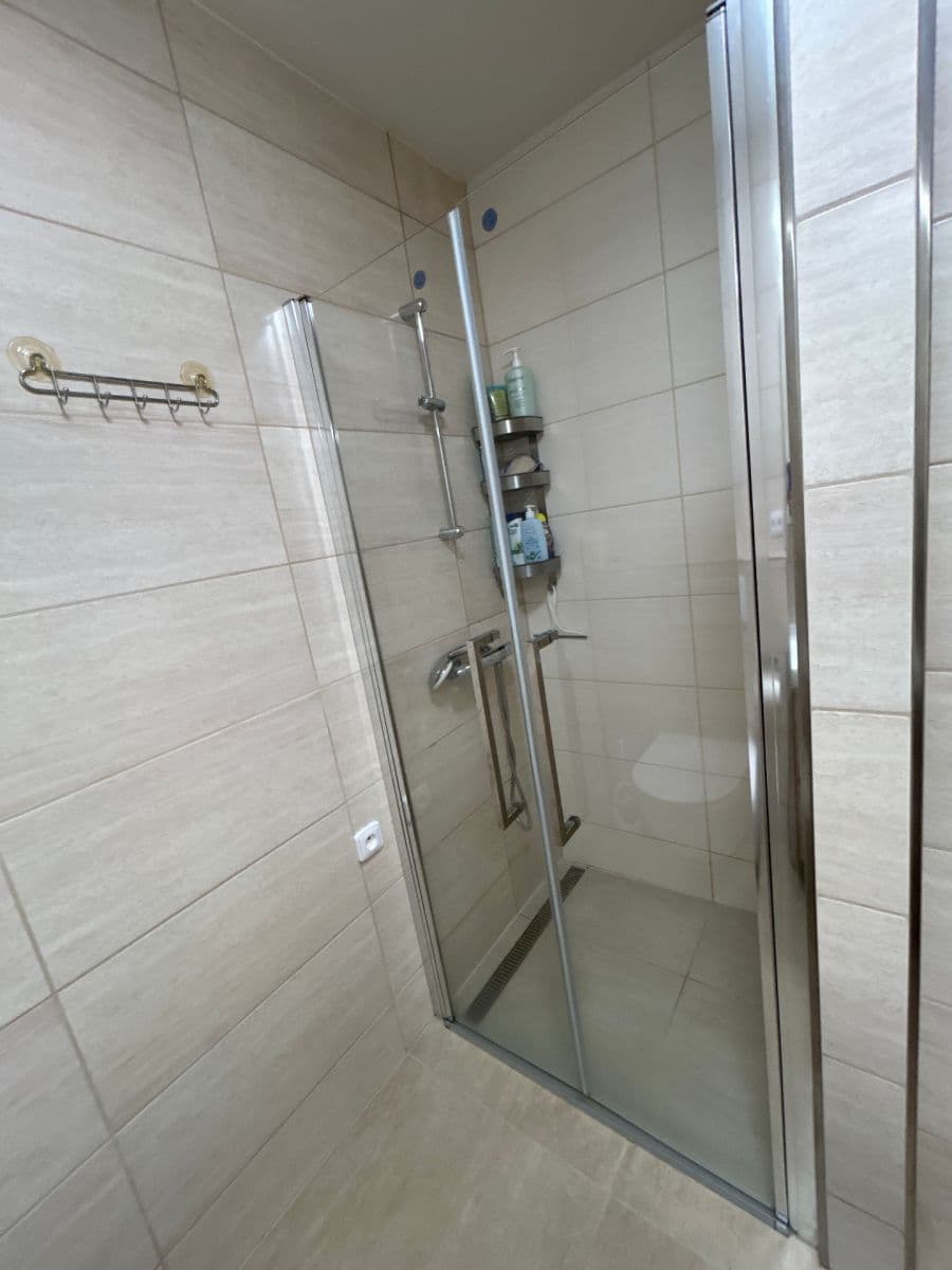 Pronájem bytu 1+kk 40 m², Špotzova, Praha, Praha Pronájem bytu 1+kk 40 m², Špotzova, Praha, Praha