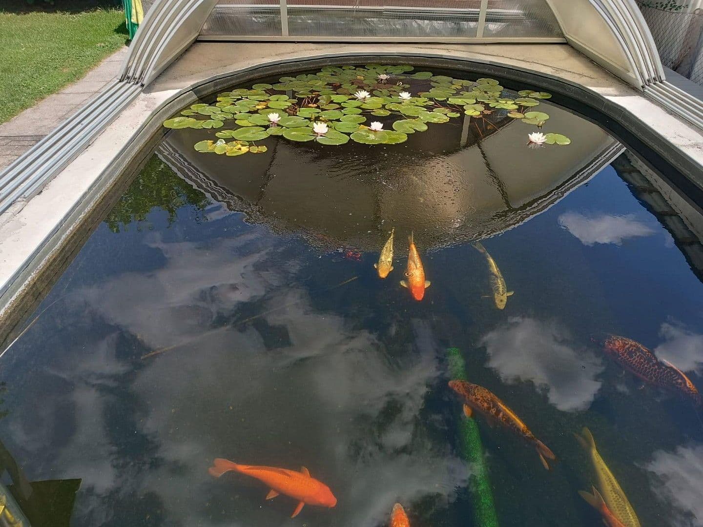 Prodej domu 240 m², pozemek 800 m², Dingolfing, Bavorsko Prodej domu 240 m², pozemek 800 m², Dingolfing, Bavorsko