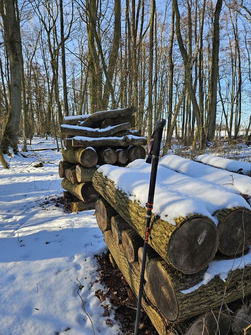 Prodej domu 285 m², pozemek 32.000 m², Dobin am See, Mecklenburg-Vorpommern Prodej domu 285 m², pozemek 32.000 m², Dobin am See, Mecklenburg-Vorpommern