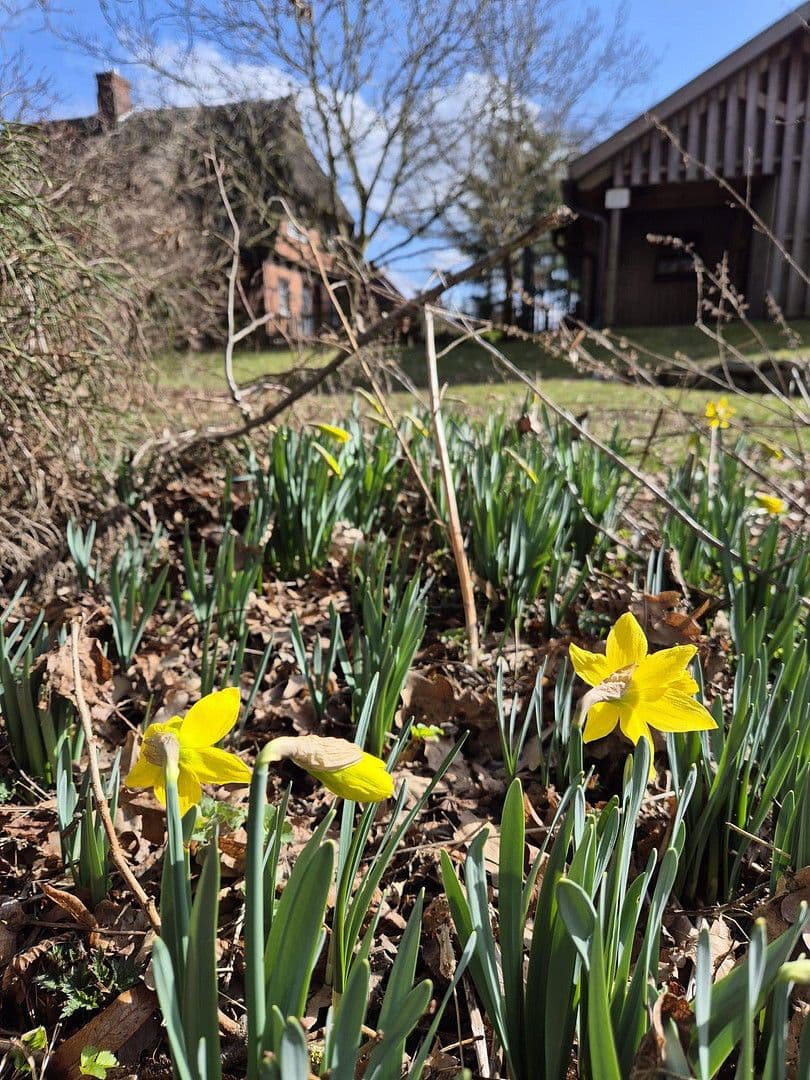 Prodej domu 285 m², pozemek 32.000 m², Dobin am See, Mecklenburg-Vorpommern Prodej domu 285 m², pozemek 32.000 m², Dobin am See, Mecklenburg-Vorpommern