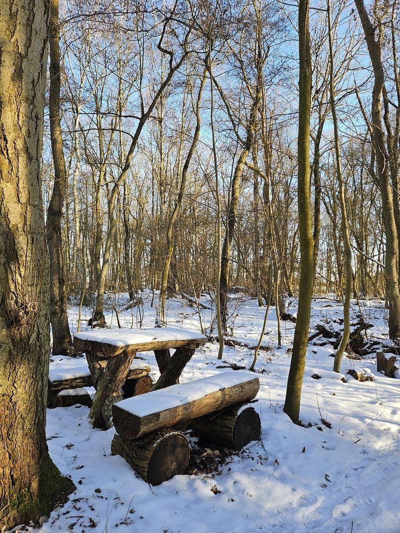 Prodej domu 285 m², pozemek 32.000 m², Dobin am See, Mecklenburg-Vorpommern Prodej domu 285 m², pozemek 32.000 m², Dobin am See, Mecklenburg-Vorpommern