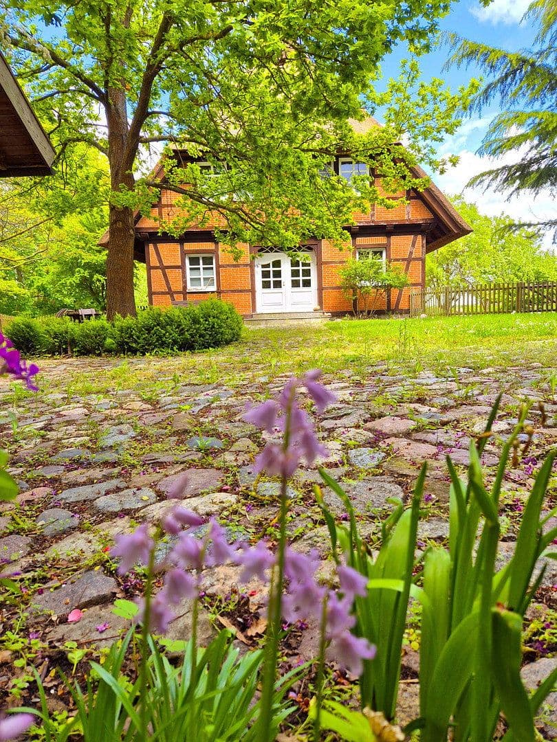 Prodej domu 285 m², pozemek 3.680 m², Ringstraße 8b, Dobin am See, Mecklenburg-Vorpommern Prodej domu 285 m², pozemek 3.680 m², Ringstraße 8b, Dobin am See, Mecklenburg-Vorpommern