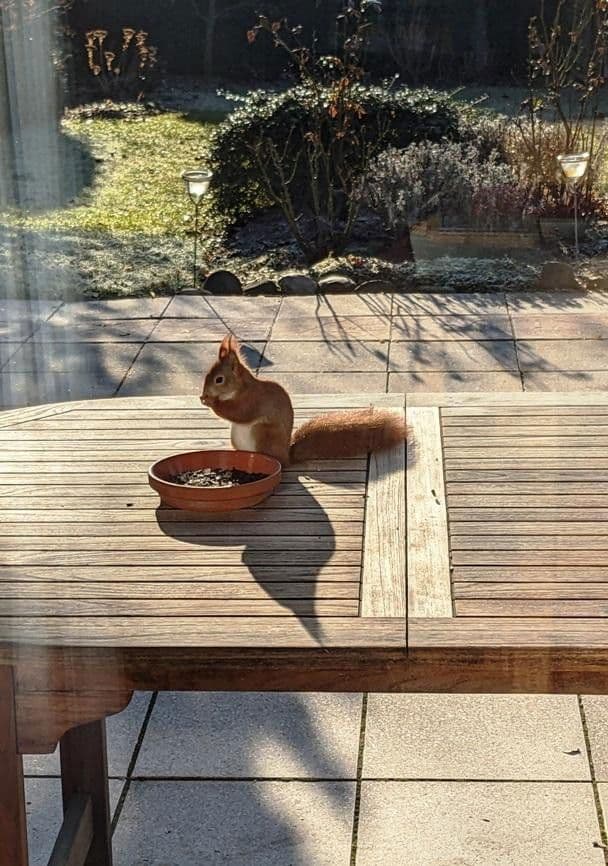 Prodej domu 140 m², pozemek 447 m², Hannover, Dolní Sasko Prodej domu 140 m², pozemek 447 m², Hannover, Dolní Sasko