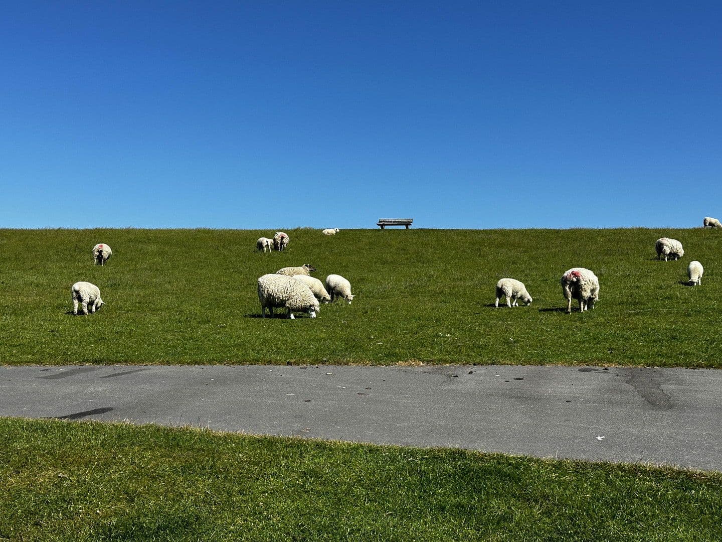 Prodej domu 76 m², pozemek 492 m², Wesselburenerkoog, Šlesvicko-Holštýnsko Prodej domu 76 m², pozemek 492 m², Wesselburenerkoog, Šlesvicko-Holštýnsko
