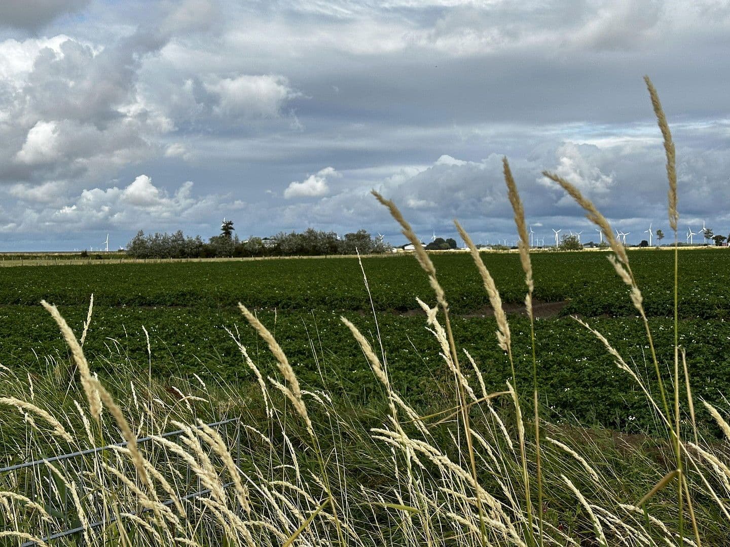 Prodej domu 76 m², pozemek 492 m², Wesselburenerkoog, Šlesvicko-Holštýnsko Prodej domu 76 m², pozemek 492 m², Wesselburenerkoog, Šlesvicko-Holštýnsko