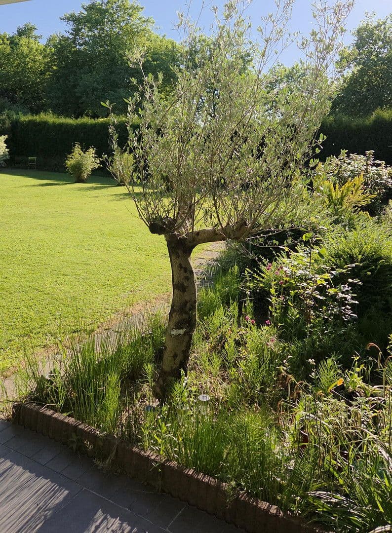 Prodej domu 273 m², pozemek 1.784 m², August-Schmidt-Straße 6, Gladbeck, Severní Porýní-Vestfálsko Prodej domu 273 m², pozemek 1.784 m², August-Schmidt-Straße 6, Gladbeck, Severní Porýní-Vestfálsko