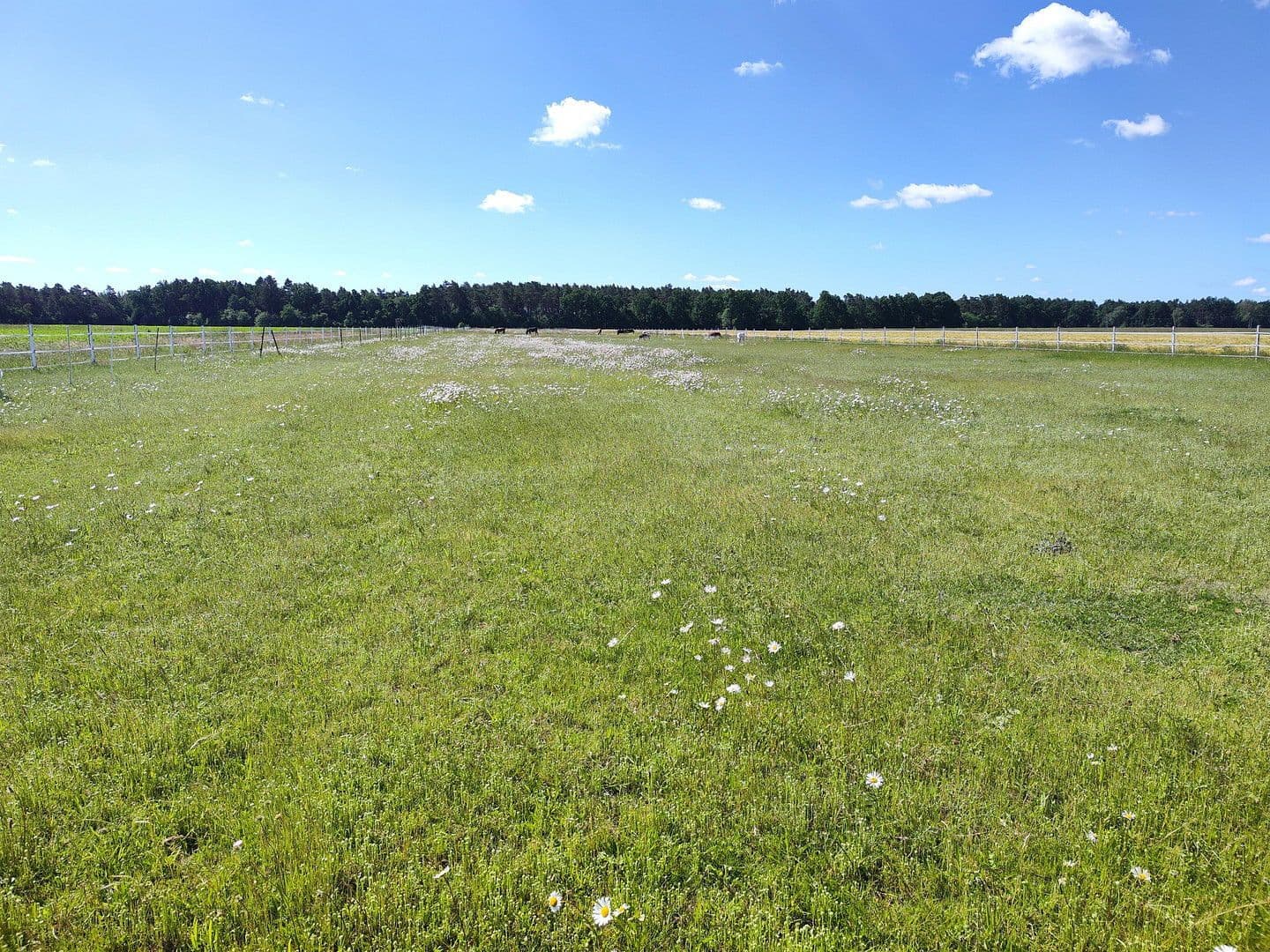 Prodej pozemku 200 m², Langer Hagen 16, Dedelstorf, Dolní Sasko Prodej pozemku 200 m², Langer Hagen 16, Dedelstorf, Dolní Sasko