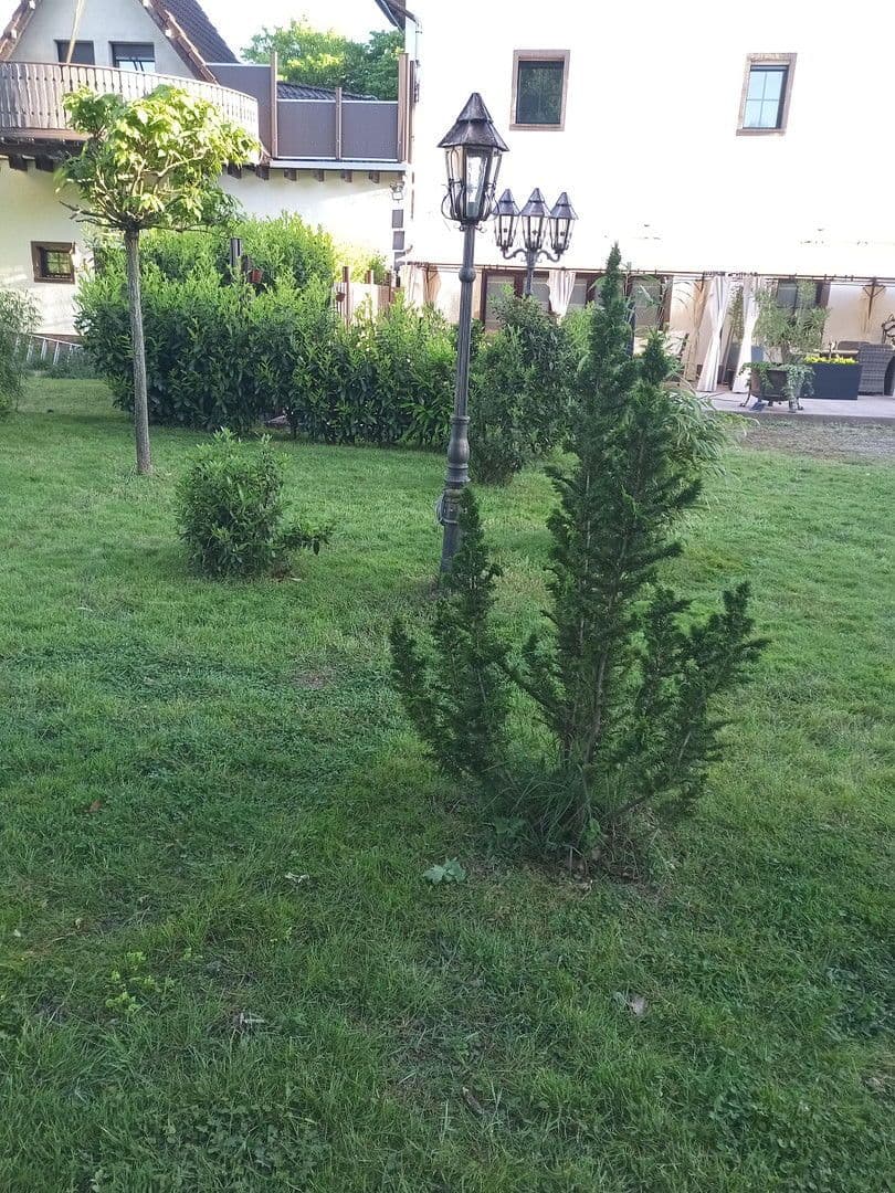 Prodej domu 410 m², pozemek 1.741 m², Krefeld, Severní Porýní-Vestfálsko Prodej domu 410 m², pozemek 1.741 m², Krefeld, Severní Porýní-Vestfálsko