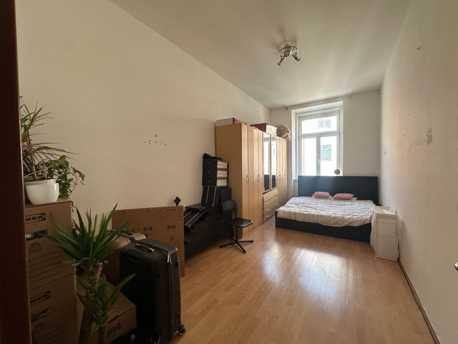 Pronájem bytu 3+kk 116 m², Divadelní, Brno, Jihomoravský kraj Pronájem bytu 3+kk 116 m², Divadelní, Brno, Jihomoravský kraj