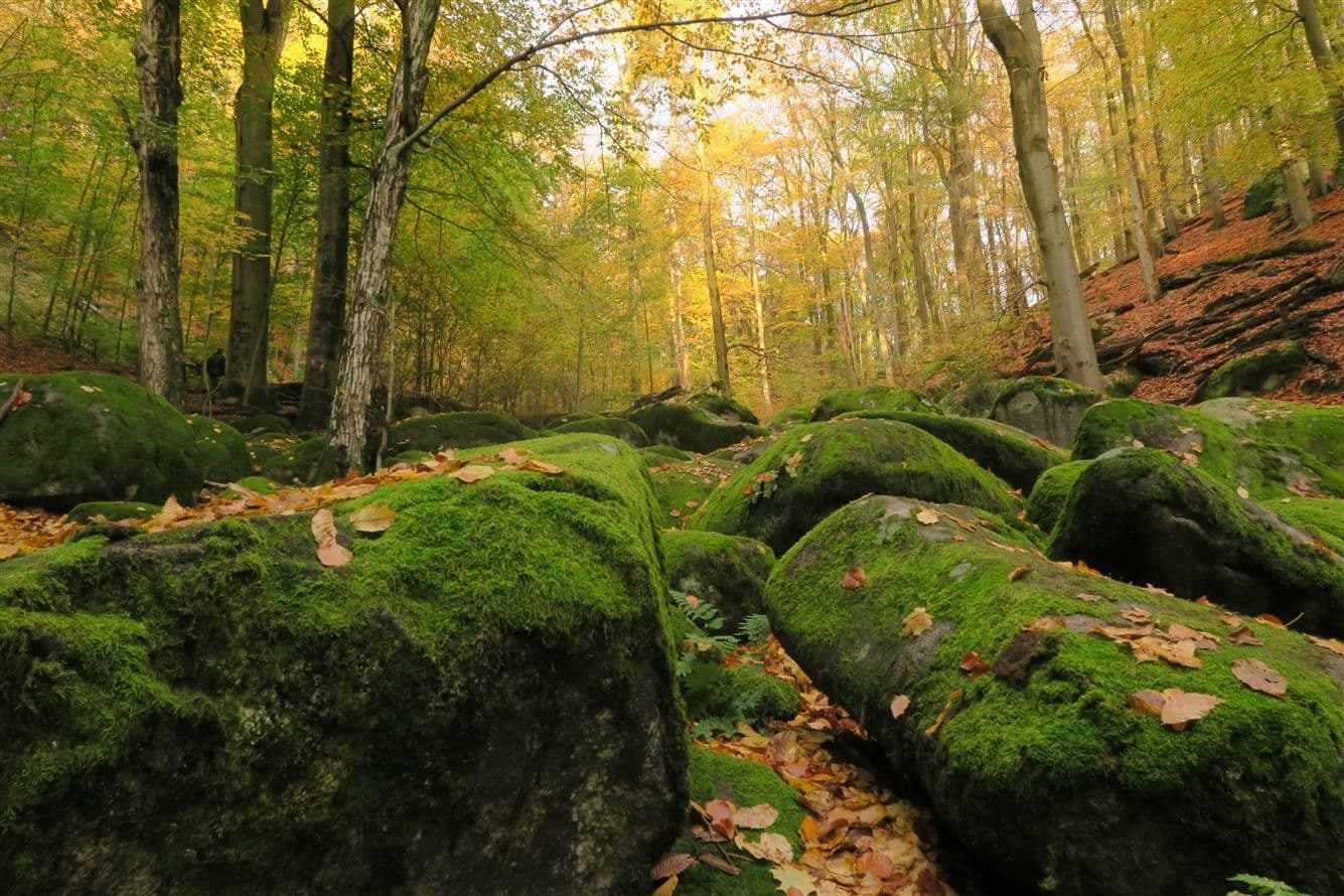 Pronájem bytu 7+kk 200 m², Tyršova, Jílové u Prahy, Středočeský kraj Pronájem bytu 7+kk 200 m², Tyršova, Jílové u Prahy, Středočeský kraj