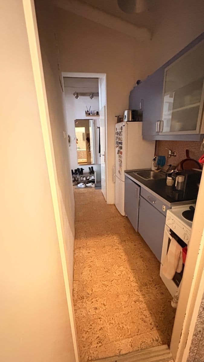 Pronájem bytu 2+kk 50 m², Ve Smečkách, Praha, Praha Pronájem bytu 2+kk 50 m², Ve Smečkách, Praha, Praha