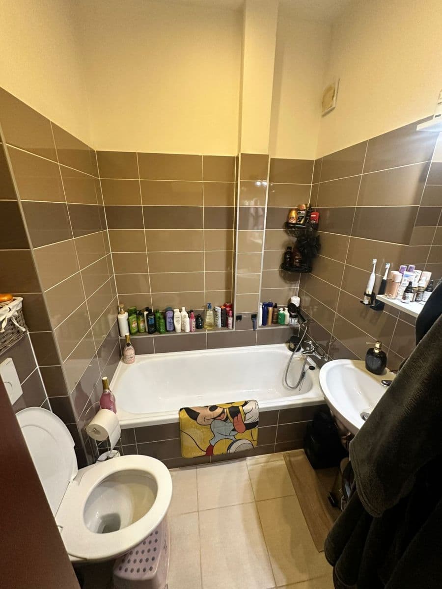 Pronájem bytu 1+1 38 m², Strakatého, Brno, Jihomoravský kraj Pronájem bytu 1+1 38 m², Strakatého, Brno, Jihomoravský kraj