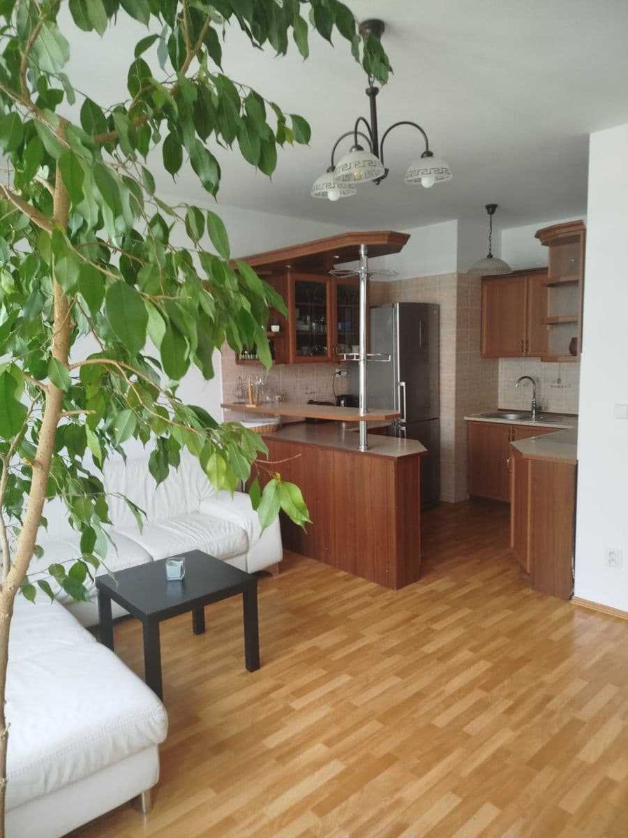 Pronájem bytu 3+kk 63 m², U Měšťanského pivovaru, Praha, Praha Pronájem bytu 3+kk 63 m², U Měšťanského pivovaru, Praha, Praha