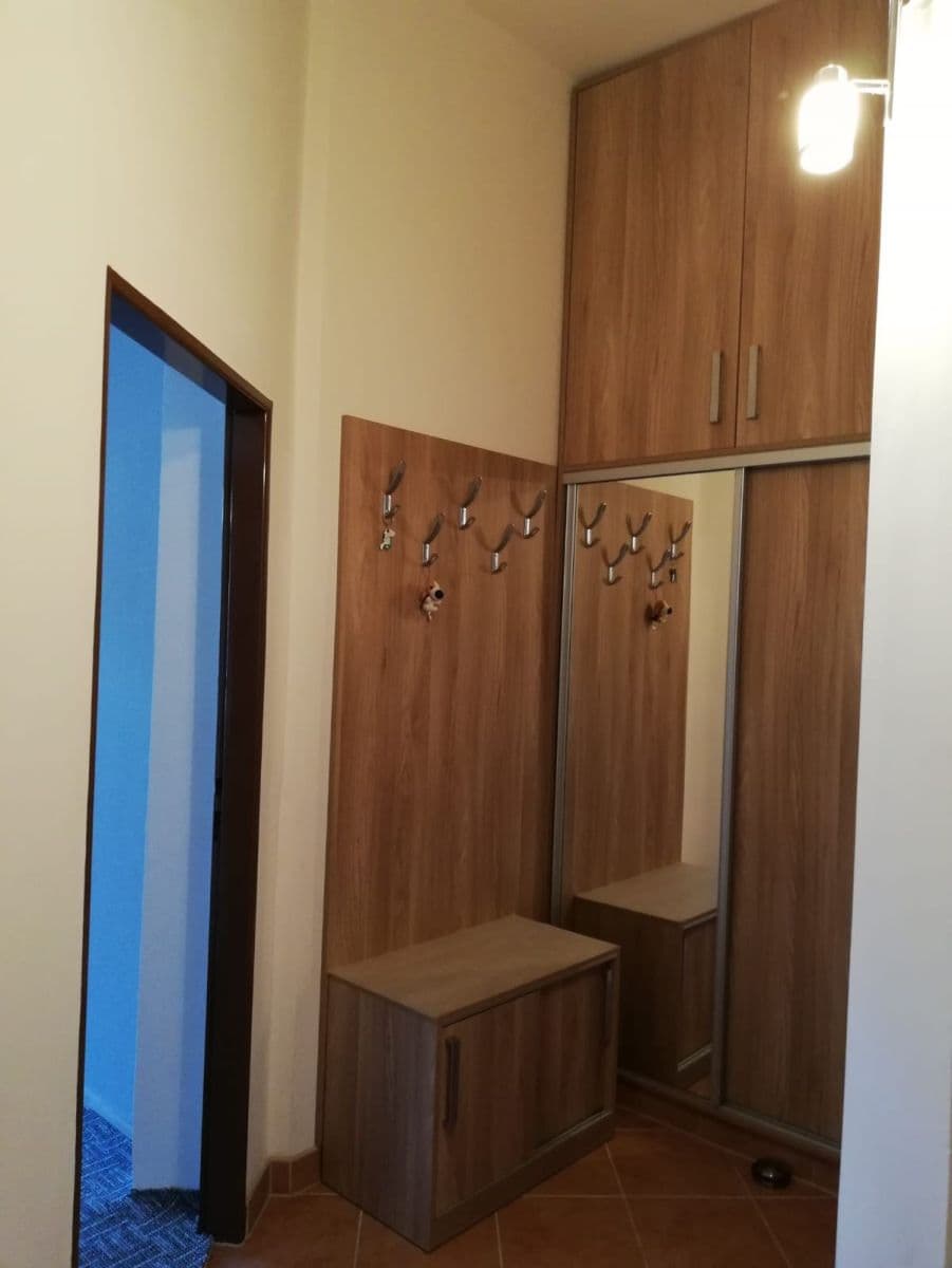 Pronájem bytu 1+1 45 m², Vítězná, Karlovy Vary, Karlovarský kraj Pronájem bytu 1+1 45 m², Vítězná, Karlovy Vary, Karlovarský kraj