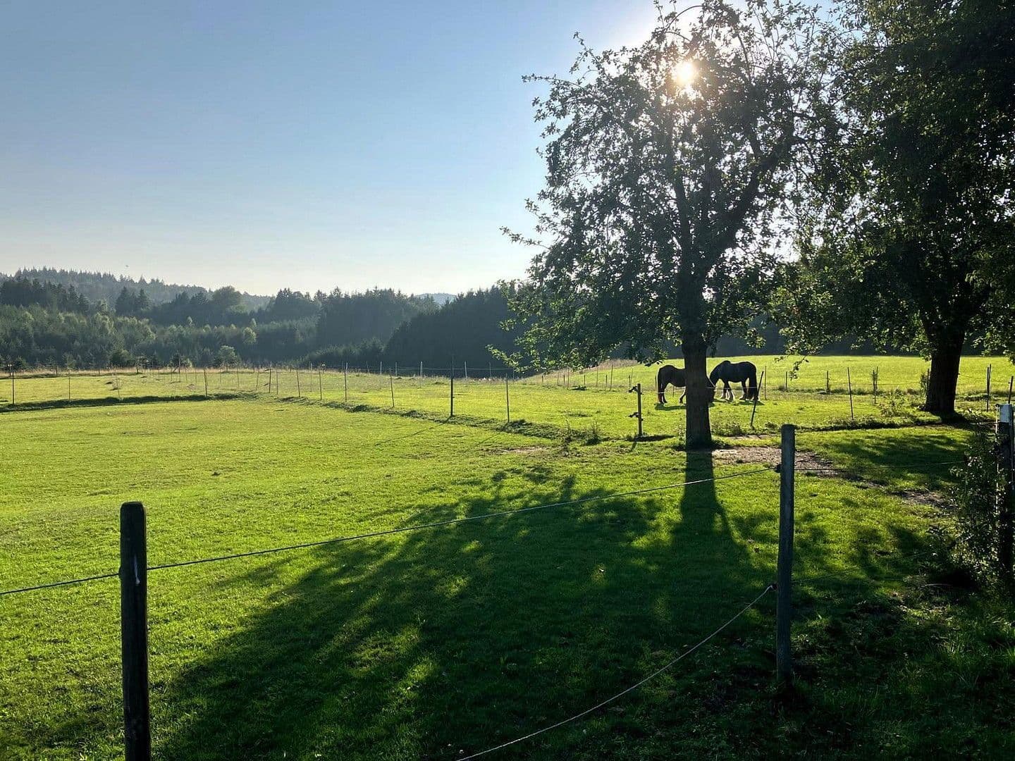 Prodej domu 129 m², pozemek 4.804 m², Wüstenrot, Bádensko-Württembersko Prodej domu 129 m², pozemek 4.804 m², Wüstenrot, Bádensko-Württembersko