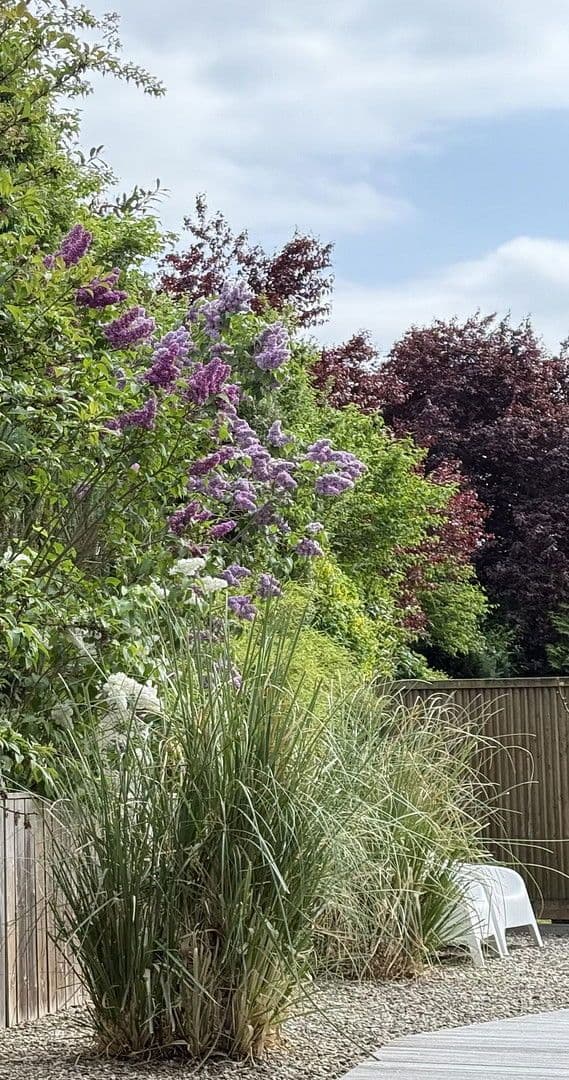 Prodej domu 170 m², pozemek 600 m², Gehrden, Dolní Sasko Prodej domu 170 m², pozemek 600 m², Gehrden, Dolní Sasko