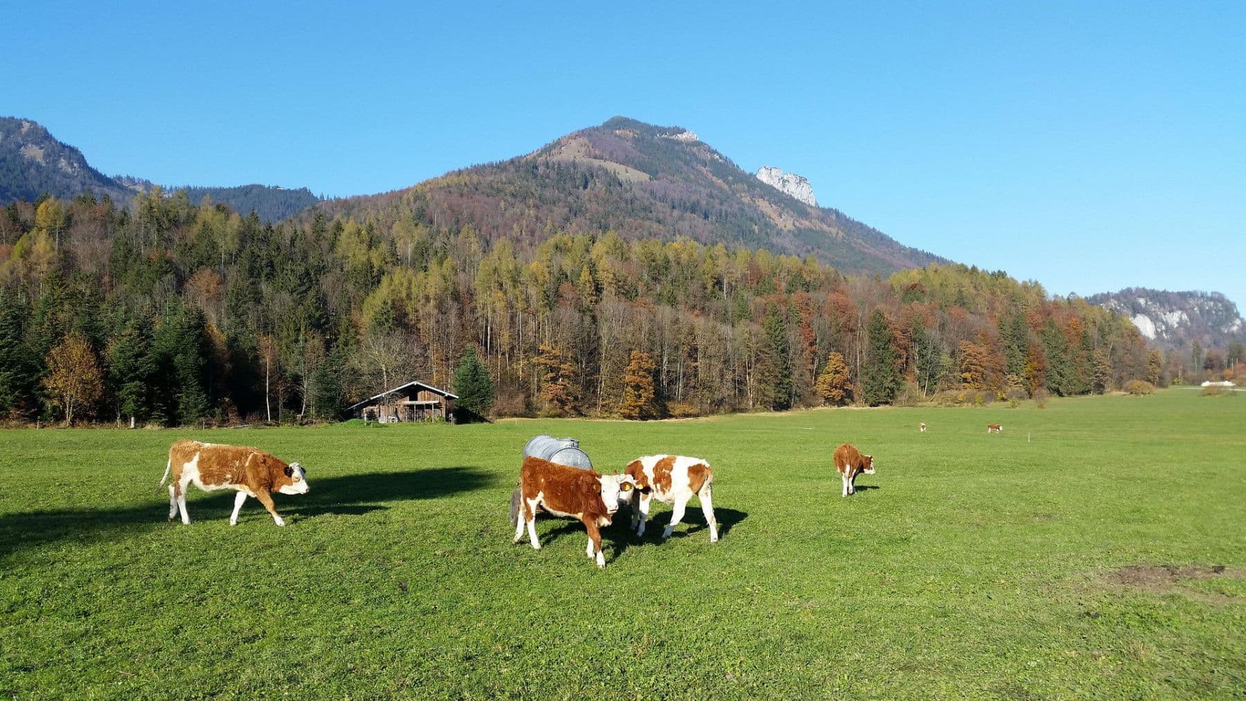 Prodej domu 57 m², pozemek 400 m², Schleching, Bavorsko Prodej domu 57 m², pozemek 400 m², Schleching, Bavorsko