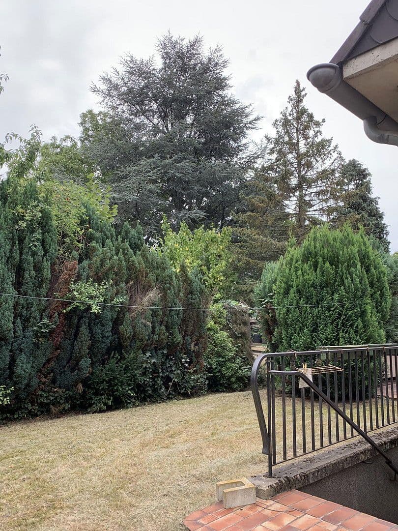 Prodej domu 192 m², pozemek 875 m², Elsdorf, Severní Porýní-Vestfálsko Prodej domu 192 m², pozemek 875 m², Elsdorf, Severní Porýní-Vestfálsko