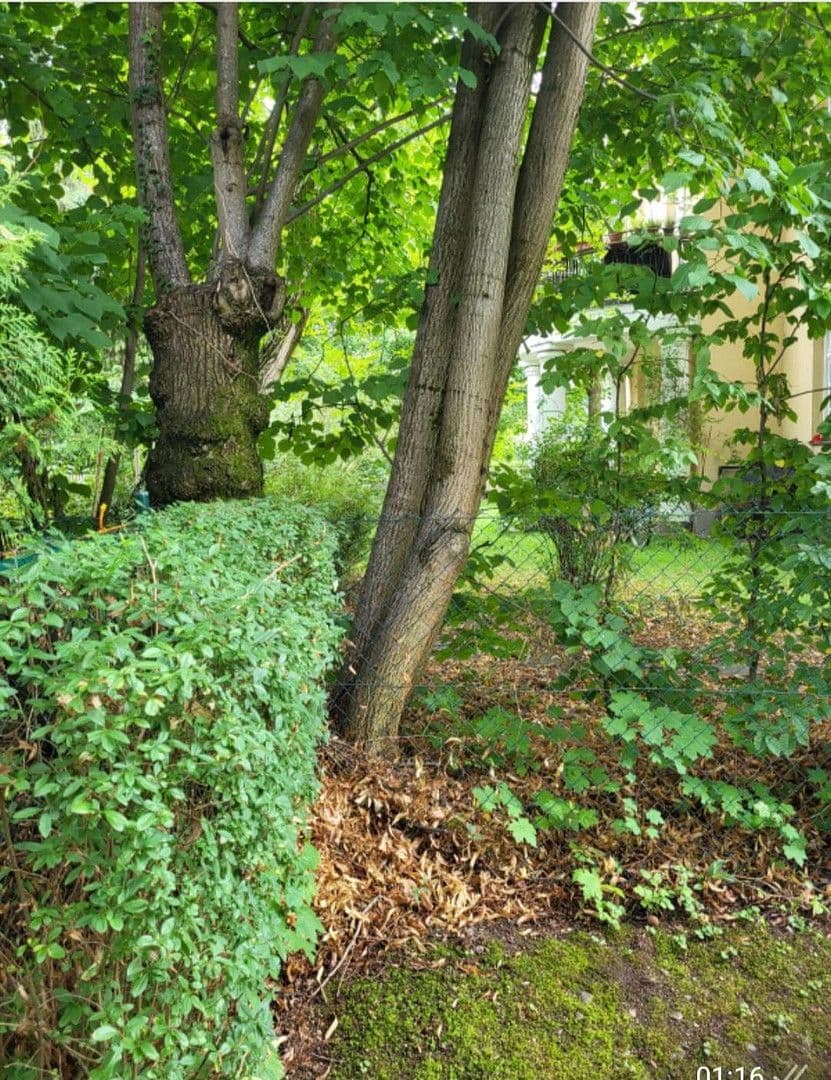 Pronájem bytu 4+1 90 m², München, Bavorsko Pronájem bytu 4+1 90 m², München, Bavorsko