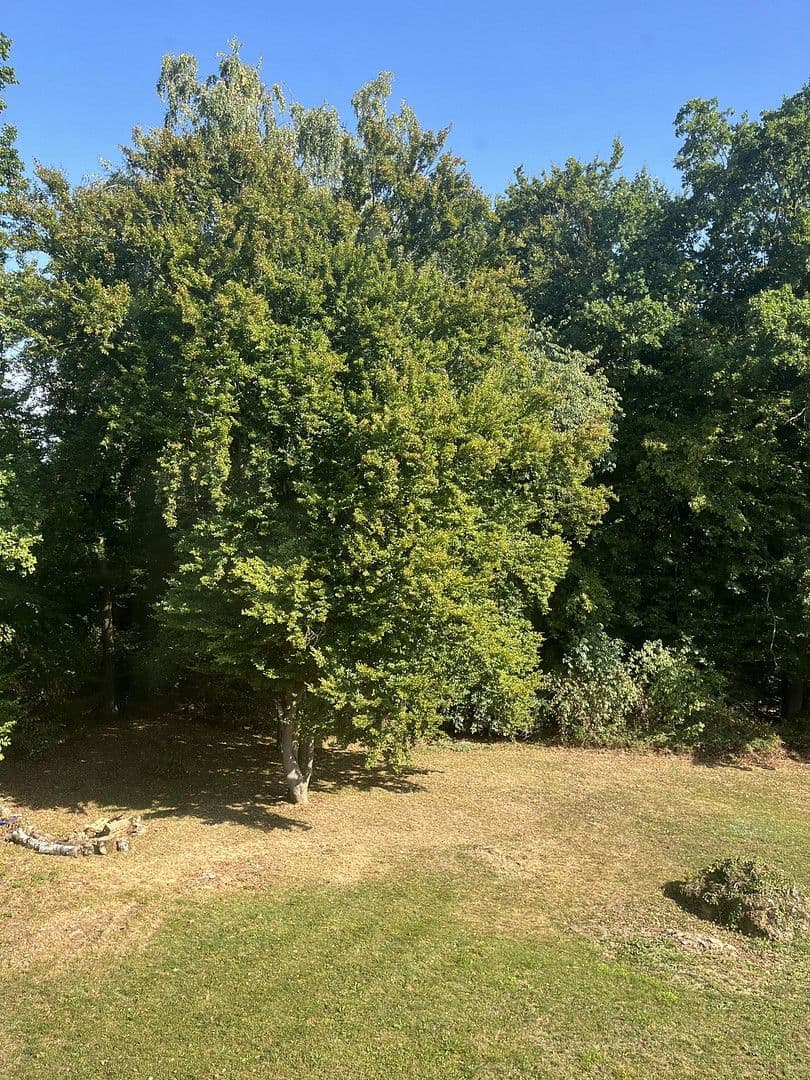 Prodej domu 245 m², pozemek 1.770 m², Nittendorf, Bavorsko Prodej domu 245 m², pozemek 1.770 m², Nittendorf, Bavorsko