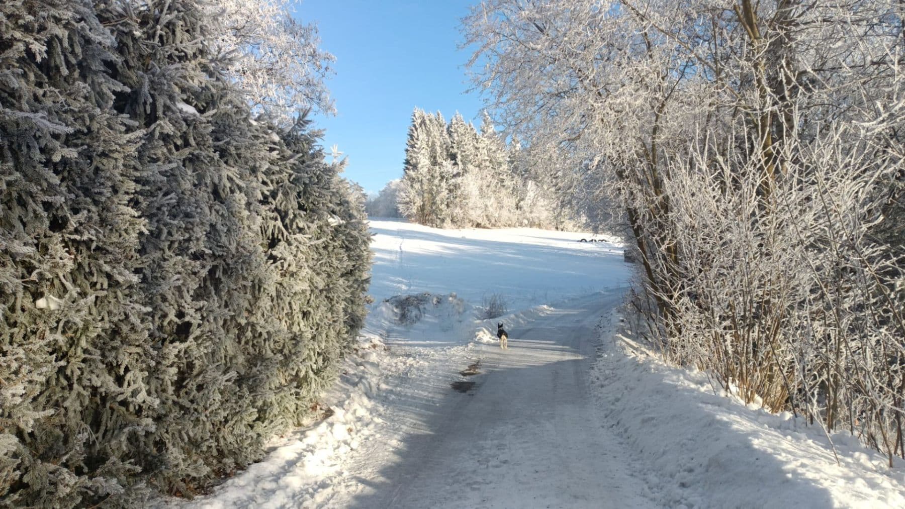 Prodej chaty, chalupy 135 m², pozemek 800 m², Pěnčín, Liberecký kraj Prodej chaty, chalupy 135 m², pozemek 800 m², Pěnčín, Liberecký kraj