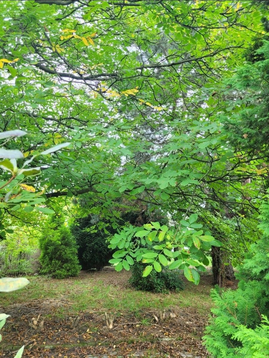 Prodej domu 160 m², pozemek 1.071 m², Do Polí, Dolní Lutyně, Moravskoslezský kraj Prodej domu 160 m², pozemek 1.071 m², Do Polí, Dolní Lutyně, Moravskoslezský kraj