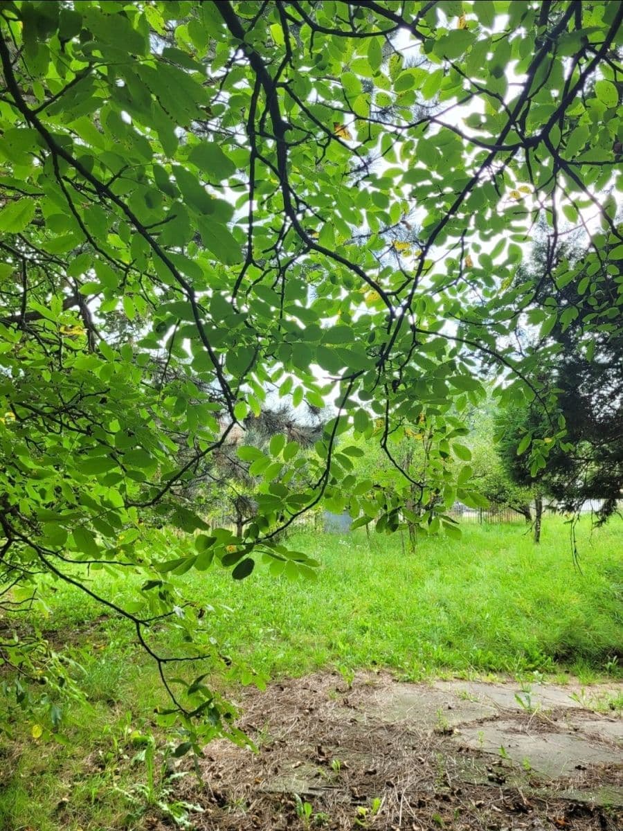 Prodej domu 160 m², pozemek 1.071 m², Do Polí, Dolní Lutyně, Moravskoslezský kraj Prodej domu 160 m², pozemek 1.071 m², Do Polí, Dolní Lutyně, Moravskoslezský kraj