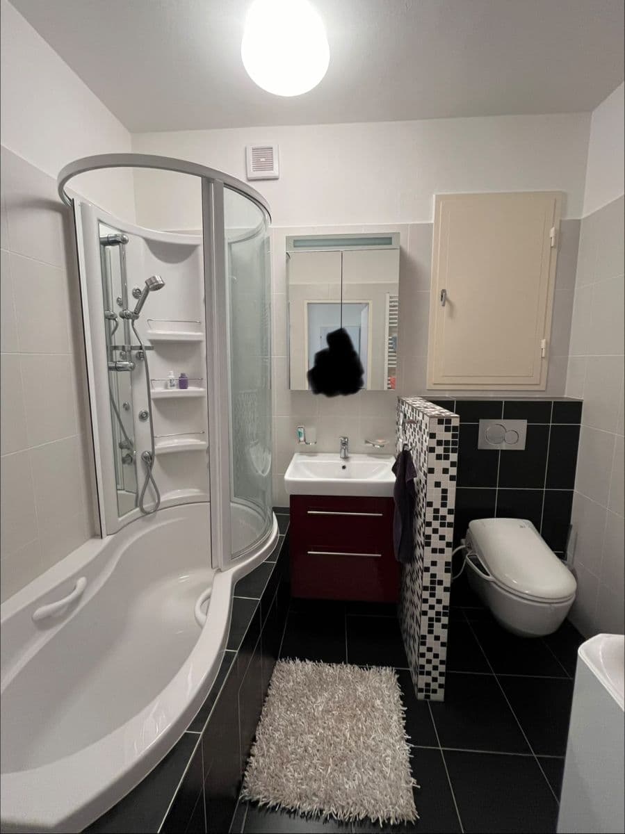 Pronájem bytu 1+kk 43 m², Březnická, Zlín, Zlínský kraj Pronájem bytu 1+kk 43 m², Březnická, Zlín, Zlínský kraj