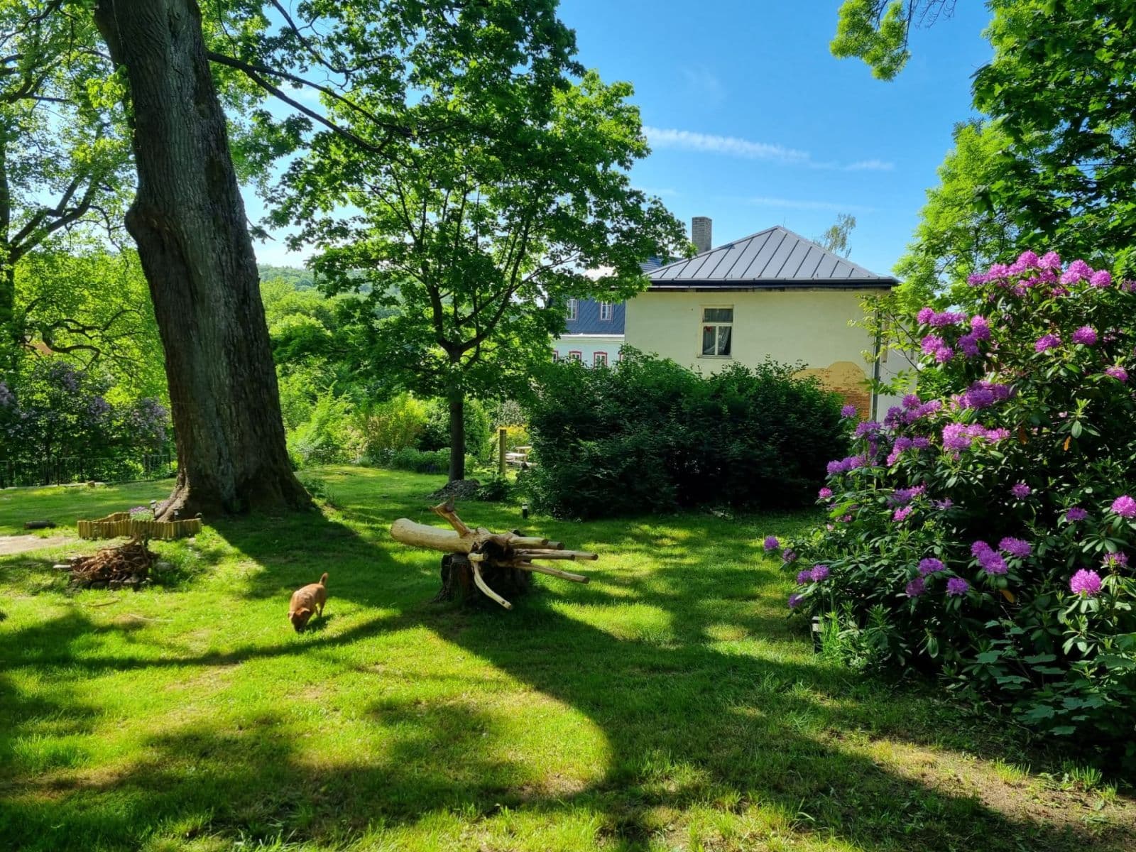 Prodej domu 154 m², pozemek 761 m², Osvobození, Kamenický Šenov, Liberecký kraj Prodej domu 154 m², pozemek 761 m², Osvobození, Kamenický Šenov, Liberecký kraj