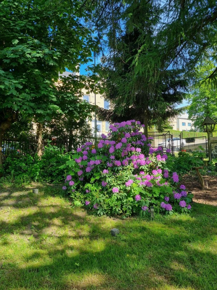 Prodej domu 154 m², pozemek 761 m², Osvobození, Kamenický Šenov, Liberecký kraj Prodej domu 154 m², pozemek 761 m², Osvobození, Kamenický Šenov, Liberecký kraj