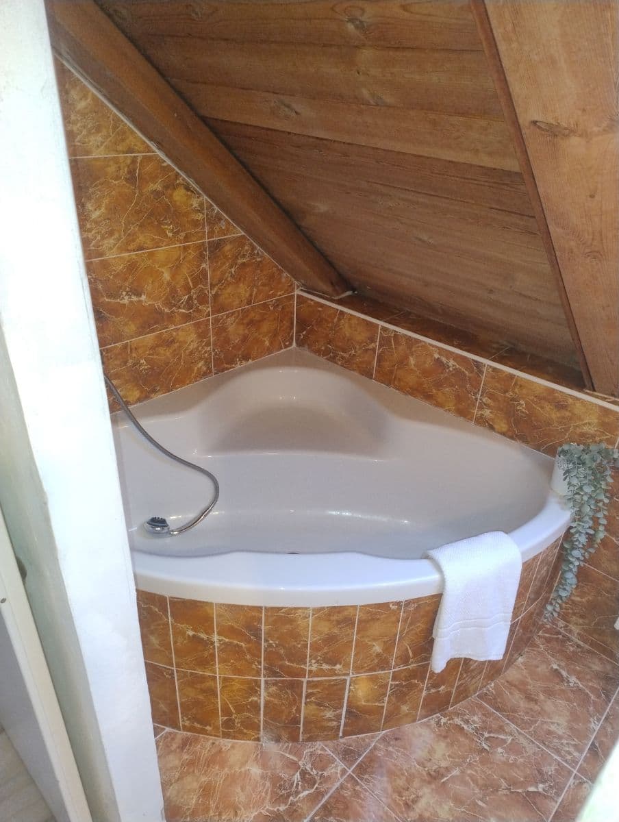 Prodej domu 513 m², pozemek 1.021 m², V Borovičkách, Praha, Praha Prodej domu 513 m², pozemek 1.021 m², V Borovičkách, Praha, Praha