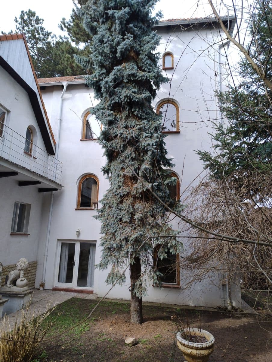 Prodej domu 513 m², pozemek 1.021 m², V Borovičkách, Praha, Praha Prodej domu 513 m², pozemek 1.021 m², V Borovičkách, Praha, Praha