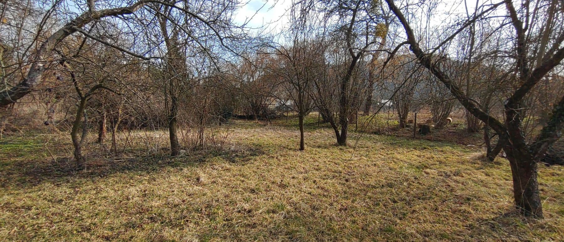 Prodej domu 163 m², pozemek 3.013 m², Smetanova, Týn nad Bečvou, Olomoucký kraj Prodej domu 163 m², pozemek 3.013 m², Smetanova, Týn nad Bečvou, Olomoucký kraj