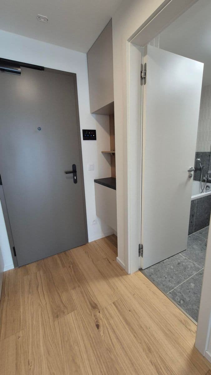 Pronájem bytu 1+kk 43 m², Bratislavská, Brno, Jihomoravský kraj Pronájem bytu 1+kk 43 m², Bratislavská, Brno, Jihomoravský kraj